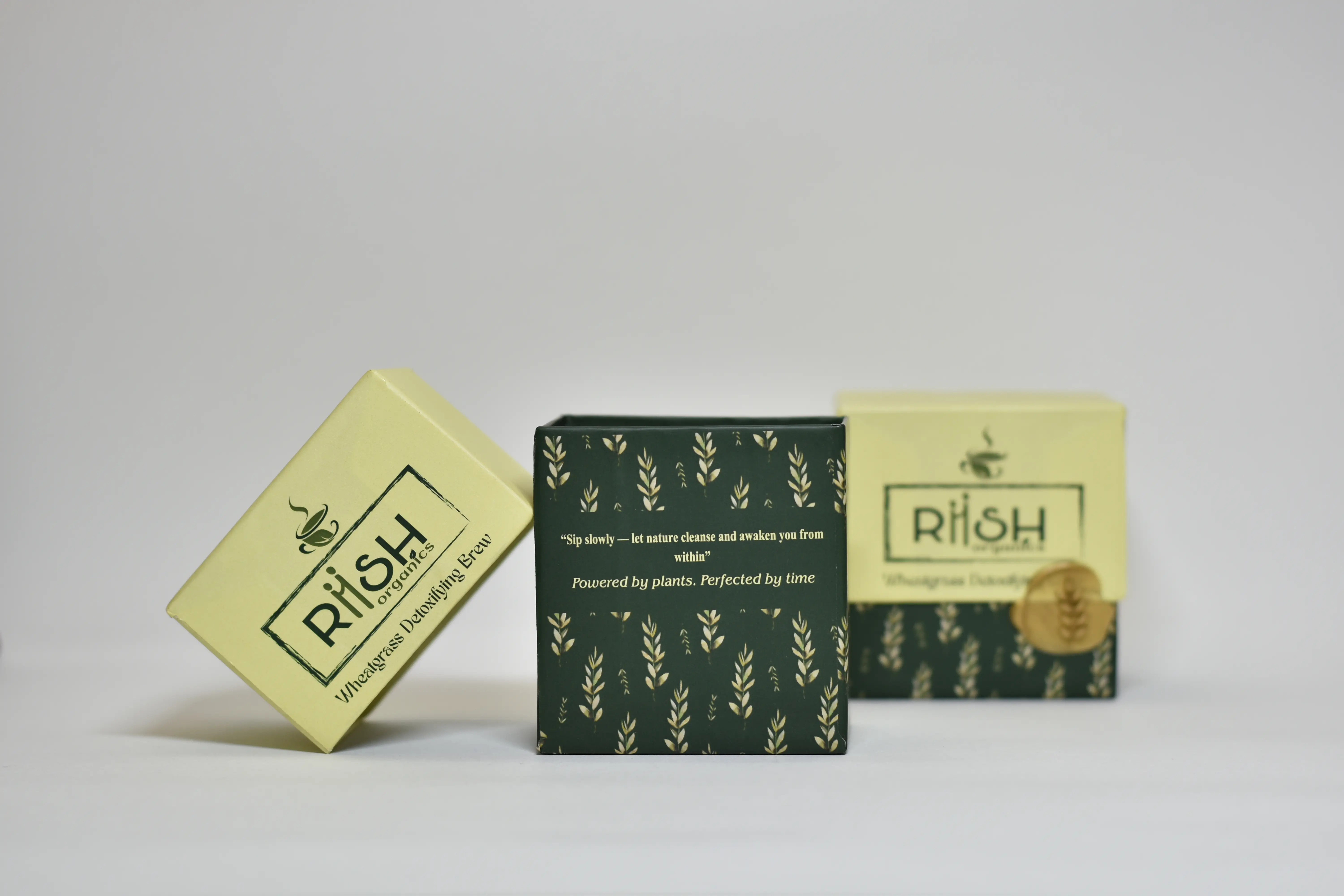 The Starter - Image 3